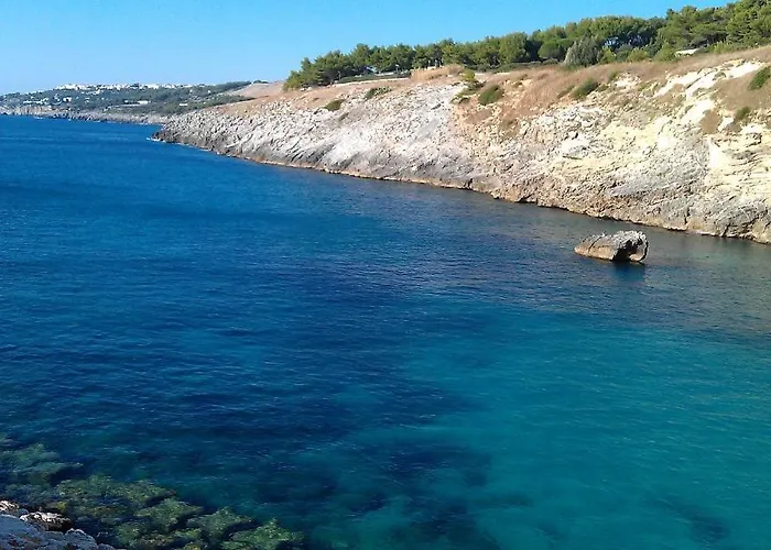 阿里泽酒店 酒店 3*